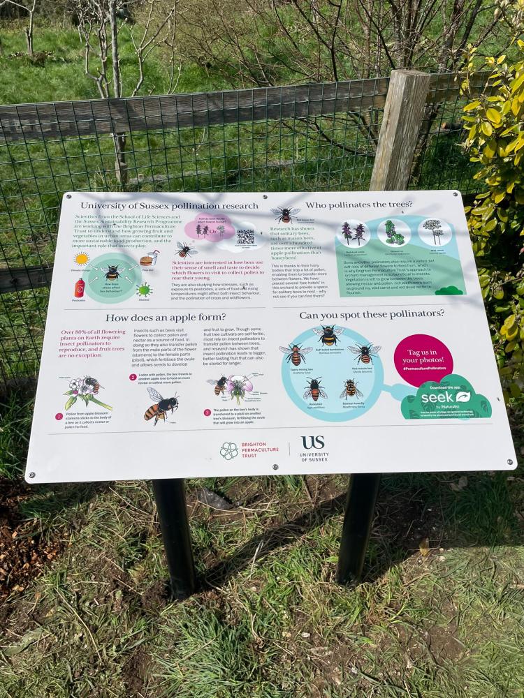 University of Sussex pollination research, Hollingdean, Brighton