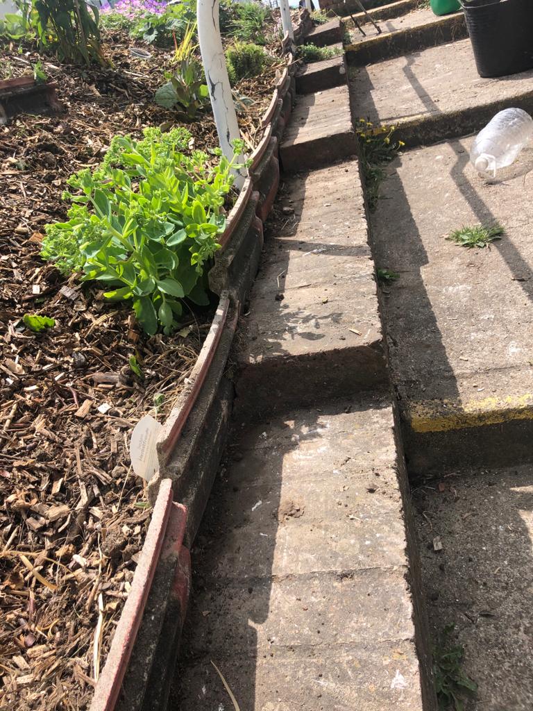 Horton Road Community Flower Bed Update June 2023