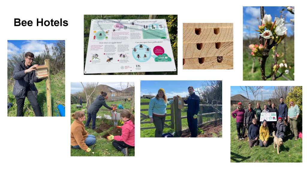 AGM Growing Hollingdean 2022-23