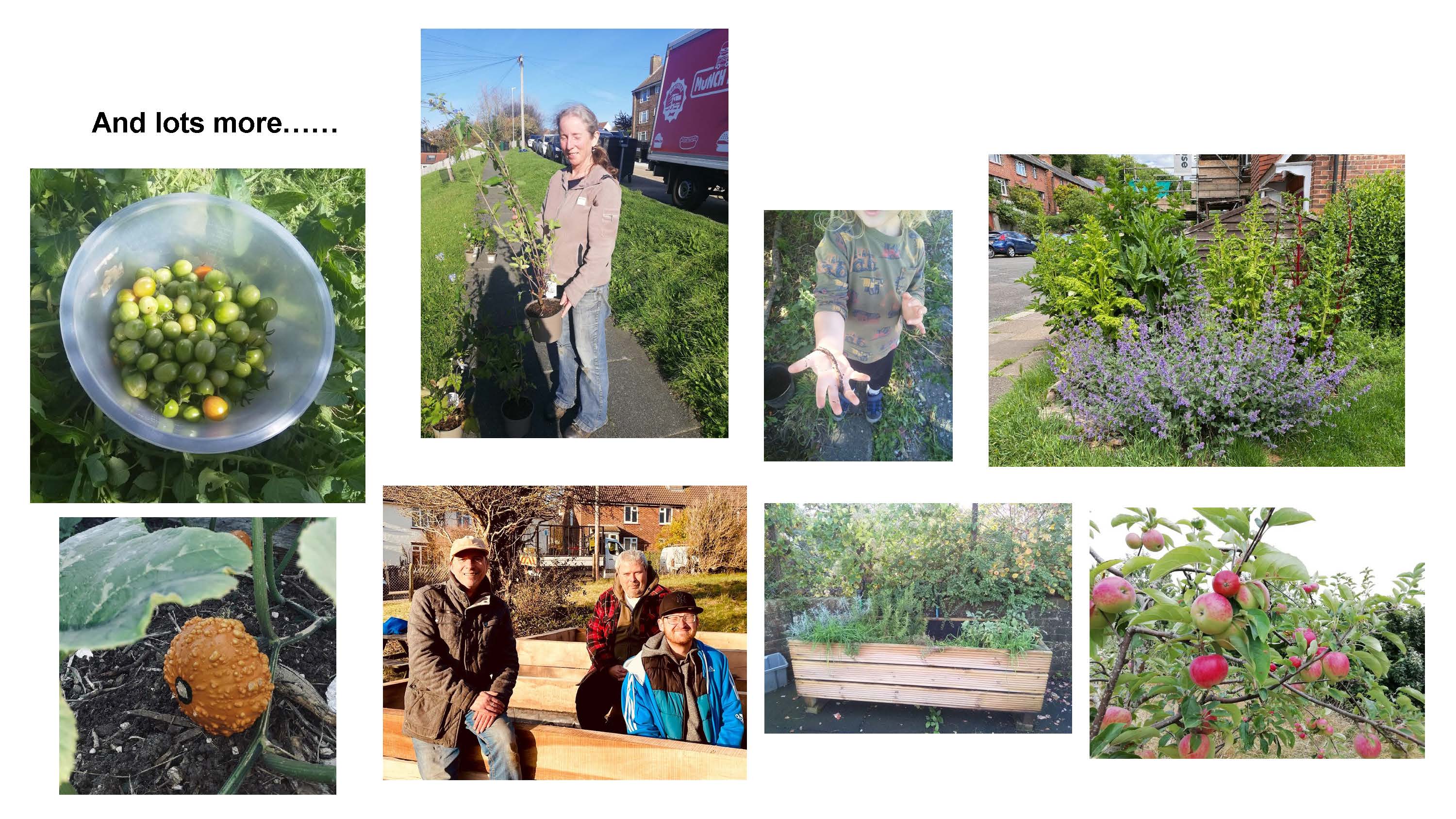 AGM Growing Hollingdean 2022-23