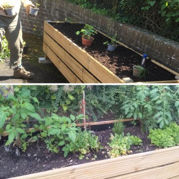 Hollingdean Community Centre Garden Thompson Road volunteer Polly, 200