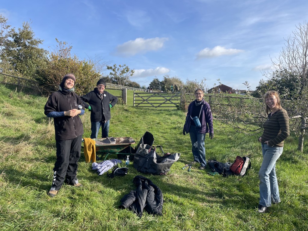 Growing Hollingdean Tree Guardians