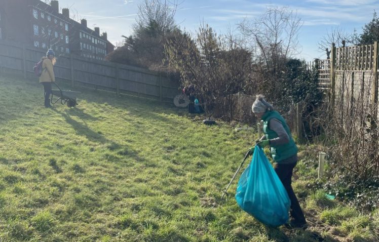 Growing Hollingdean Tree Guardian Volunteers February 2023
