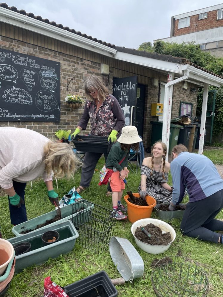 Growing your Own in small spaces event at Hollingdean Community Centre, June 2022
