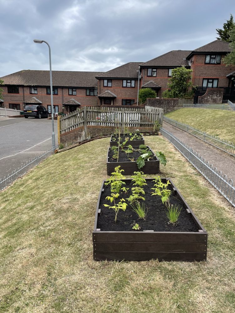 Growing Hollingdean volunteers build 3 sensory flower beds in Lynchet Close