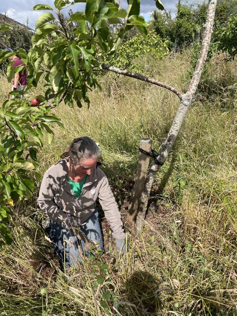 Hollingdean Growing volunteer Tree Guardians in July 2022