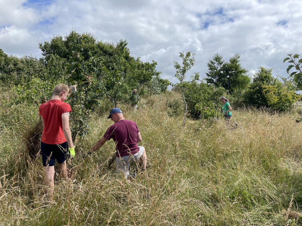 Hollingdean Growing volunteer Tree Guardians in July 2022