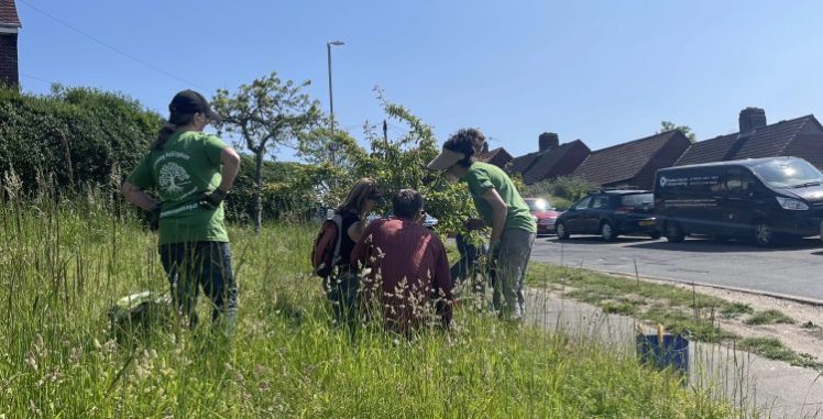 First Sunday in May, our Tree Guardians where on Horton Road, Hollingdean