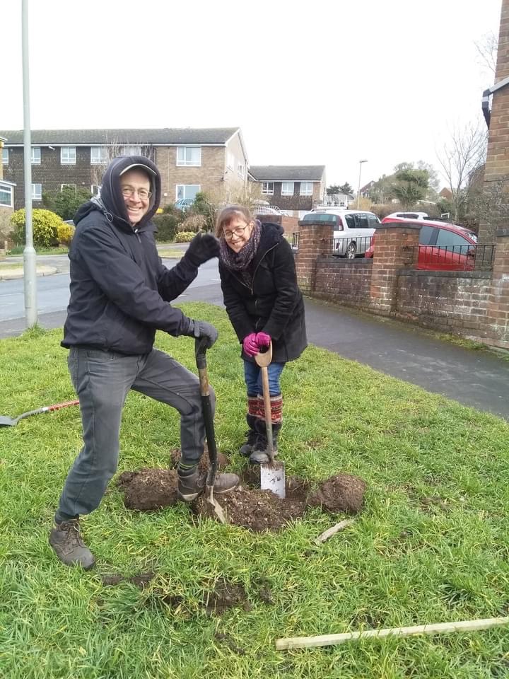 Growing Hollingdean Tree Guardians