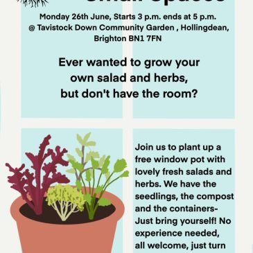 Tavistock Down Community Garden, Growing Food in Small Spaces Free Event on Monday 26th June 2023