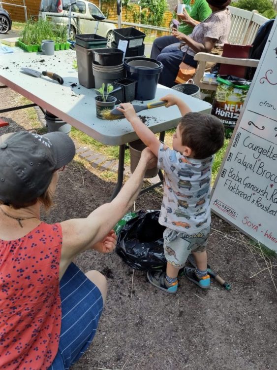Growing Food in Small Spaces Free Event at Hollingdean Community Centre was in June 2023