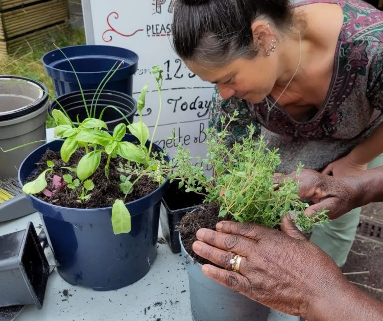 Growing Food in Small Spaces Free Event at Hollingdean Community Centre was in June 2023