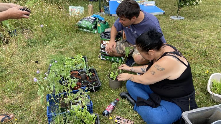 Growing Food in Small Spaces activity with Growing Hollingdean volunteers at the Lucky Dip 2023