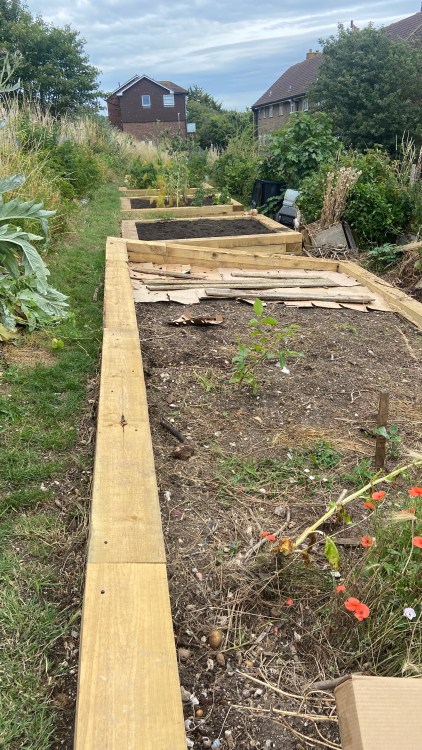 Two Trees Community Garden, Tavistock Down 3rd Monday of the month between 3-5pm