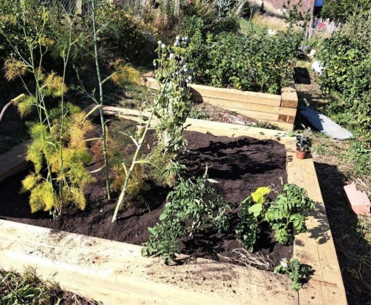 Two Trees Community Garden, Tavistock Down 3rd Monday of the month between 3-5pm