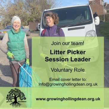 Growing Hollingdean is looking for a volunteer, Litter Picker Session Leader