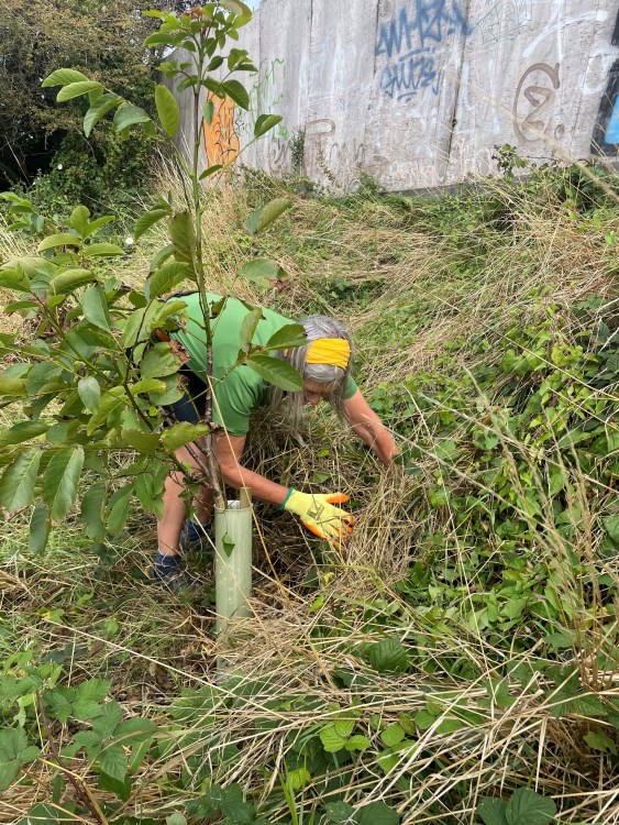 The Growing Hollingdean Tree Guardians were at Merevale Brighton in August 2023