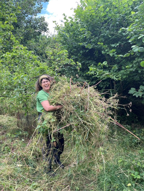 Growing Hollingdean Tree Guardians learnt to scythe the long grass in July 2023