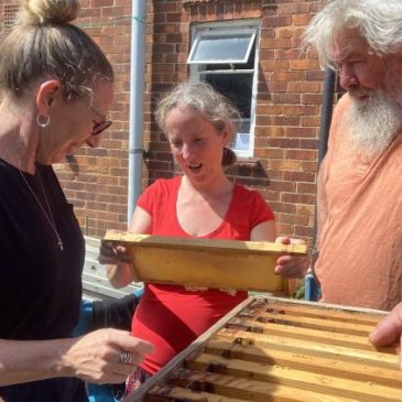 Growing Hollingdean volunteers enjoyed learning about Bee hives from a local resident Richard, August 2023