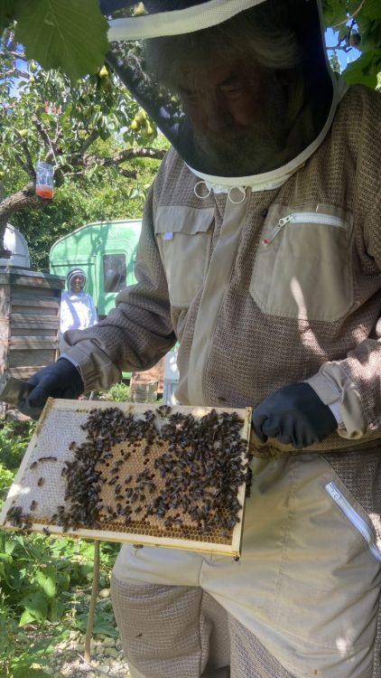 Growing Hollingdean volunteers enjoyed learning about Bee hives from a local resident Richard, August 2023