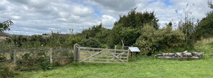 Hollingdean Park Orchard