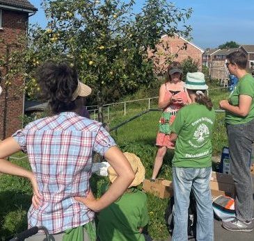 Growing Hollingdean Tree Guardians learnt how help our fruit trees in September 2023