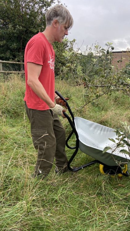 Growing Hollingdean Tree Guardians enjoyed Sunday morning at Hollingdean Park Orchard September 2023