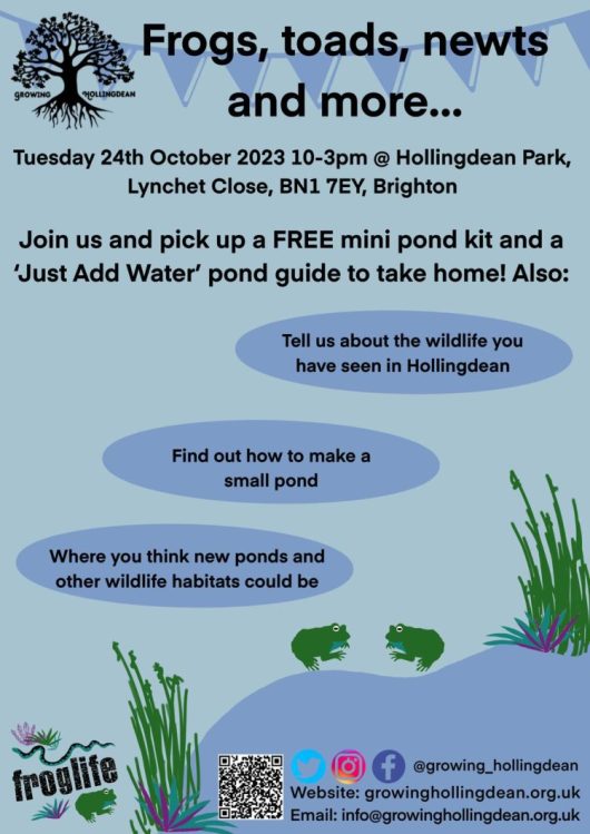 Froglife and Growing Hollingdean are organizing a FREE event, 24 October 2023 at Hollingbury Park 10-3pm.