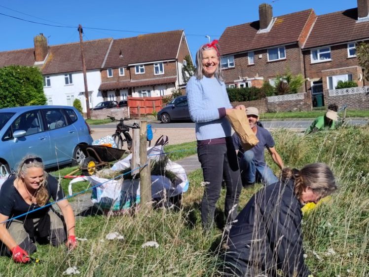Growing Hollingdean volunteers cleared the wild flowerbed Mountfield bus stop on a Sunday in October 2023.