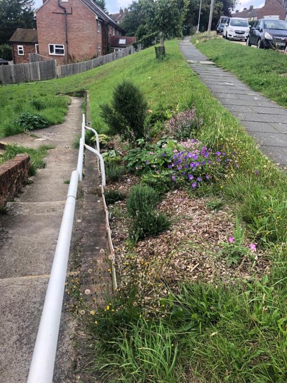 Help us extend the flowerbed on Horton Road, with the help of Growing Hollingdean volunteer gardeners