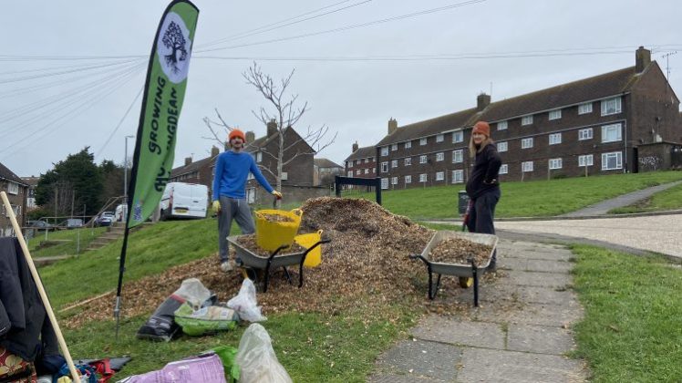 Growing Hollingdean Tree Guardians volunteers wanted Stephens Road mulching November 2023