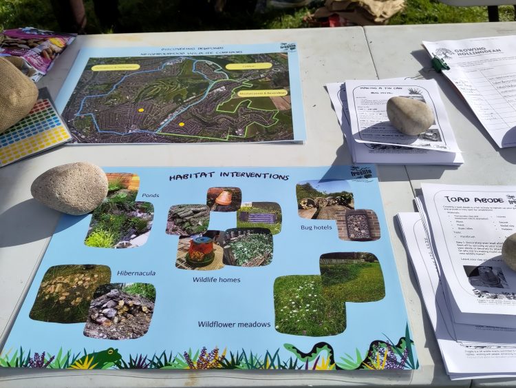 Over 100 Hollingdean locals turned up at our Froglife event with Growing Hollingdean volunteers, during half term, October 2023