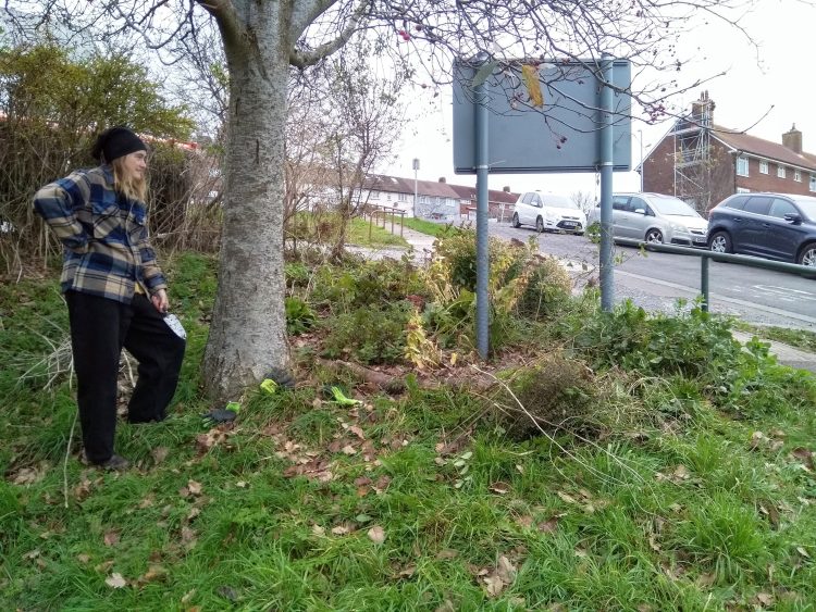 Growing Hollingdean Volunteers gardening at Hollingdean Community Centre community garden, December 2023
