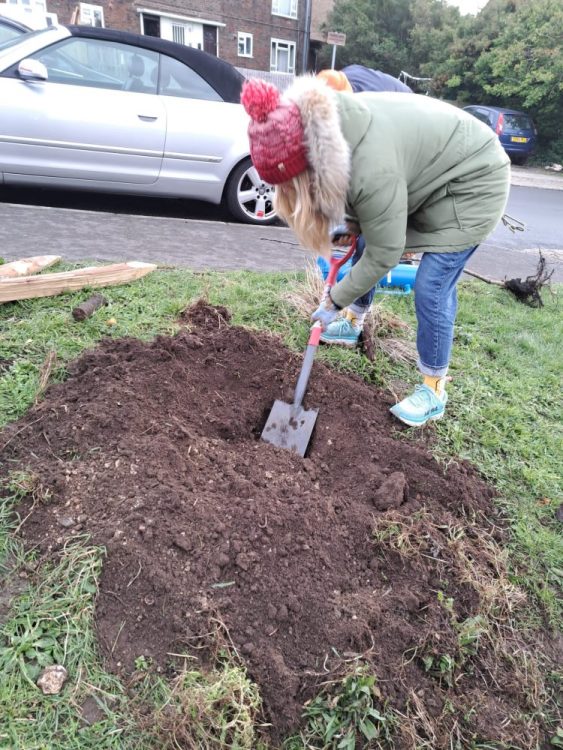 Tree Guardians get together to plant on additional volunteer gardening days. January 2024