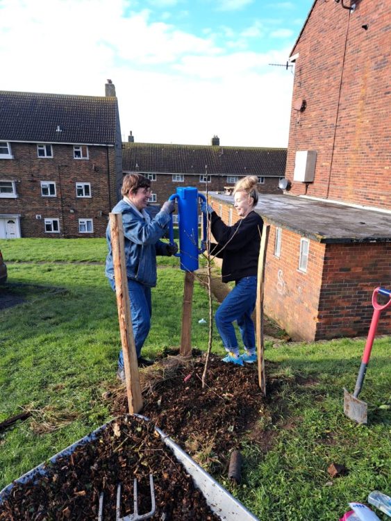 Tree Guardians get together to plant on additional volunteer gardening days. January 2024