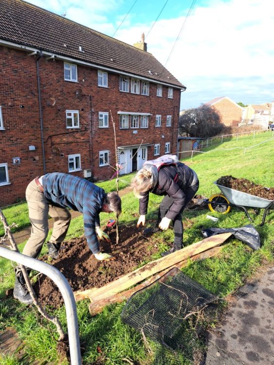Tree Guardians get together to plant on additional volunteer gardening days. January 2024