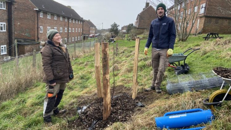 Growing Hollingdean Tree Guardian volunteers replace fruit trees on The Crestway and at 'Two Tree Community Garden' in January 2024
