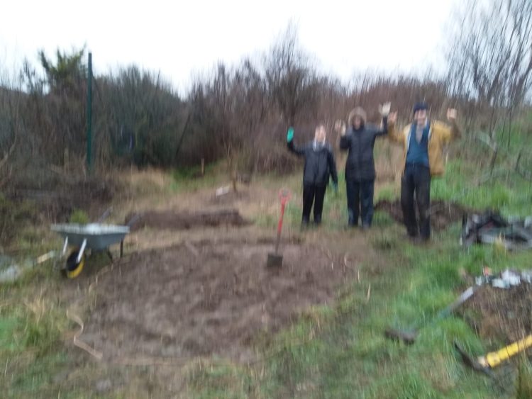 Hollingdean forest garden pond at Hollingdean Park in February and March 2024