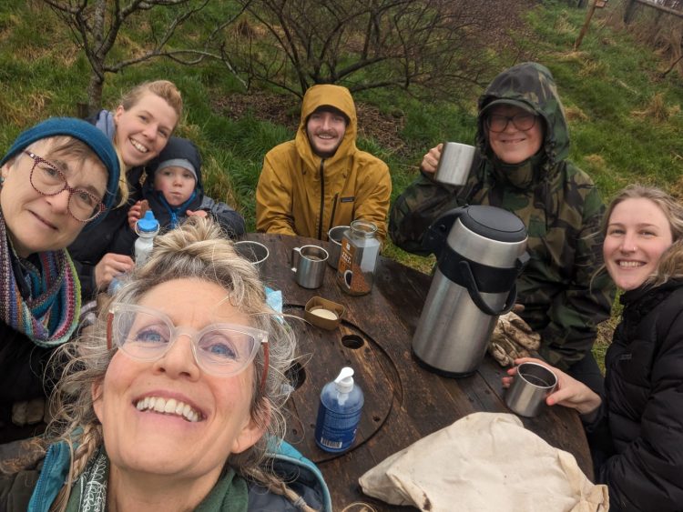Hollingdean forest garden pond at Hollingdean Park in February, 2024