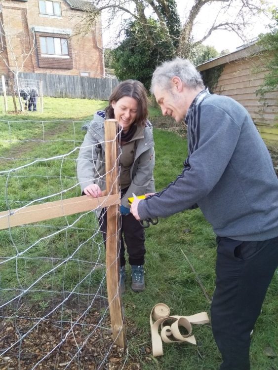 Growing Hollingdean volunteers staked and prune three apple trees with Polly, January 2024