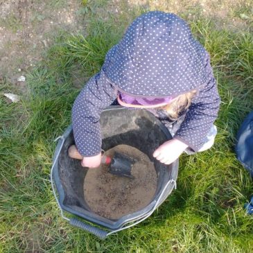 Apple Picker Parents Sow Wildflowers at Hollingdean Park, March 2024