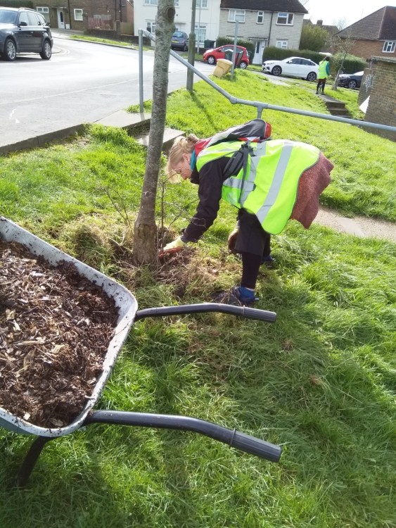 Tree Guardians out on Brentwood Road stacking trees, Growing Hollingdean volunteers first Sunday in March 2024