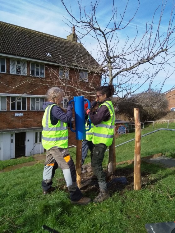 Tree Guardians out on Brentwood Road stacking trees, Growing Hollingdean volunteers first Sunday in March 2024