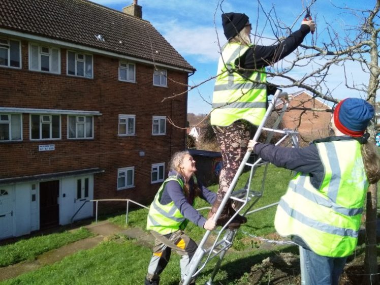 Tree Guardians out on Brentwood Road staking trees, Growing Hollingdean volunteers first Sunday in March 2024