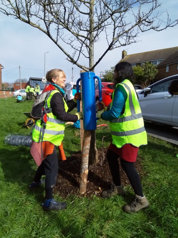 Tree Guardians out on Brentwood Road staking trees, Growing Hollingdean volunteers first Sunday in March 2024