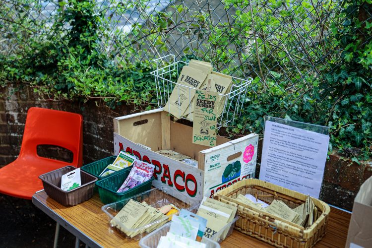 Growing Hollingdean Annual General Meeting, Hollingdean Community Centre 2023