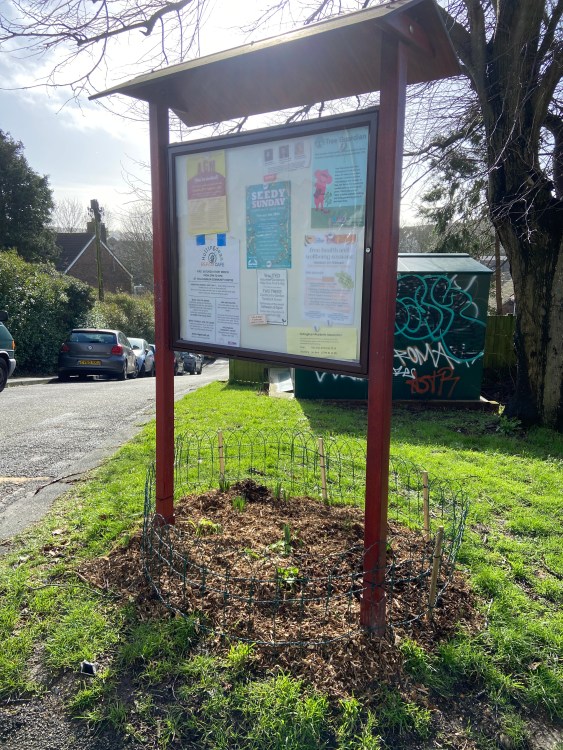 Growing Hollingdean Volunteers Plant Up Our Local Notice Board