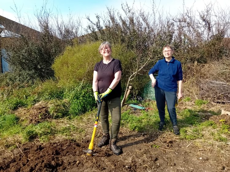 Growing Hollingdean Stage two of the pond dig at Hollingean Park Orchard with Froglife, March 2024