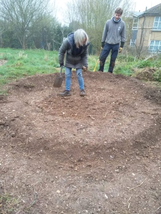 Level pond edges, line pond and dead-hedge.