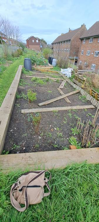 Join Mel for some gardening at Two Tree Community Garden, Tavistock Down, On Mondays 3-5pm